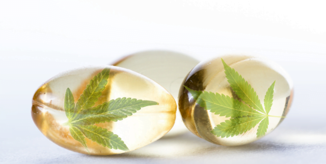 Gel capsules filled with cannabis leaves, representing the health benefits of CBD.