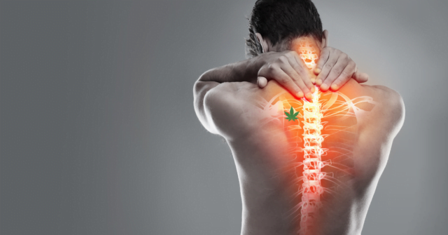 A man holding his upper back due to pain, while holding a bottle of CBD oil.