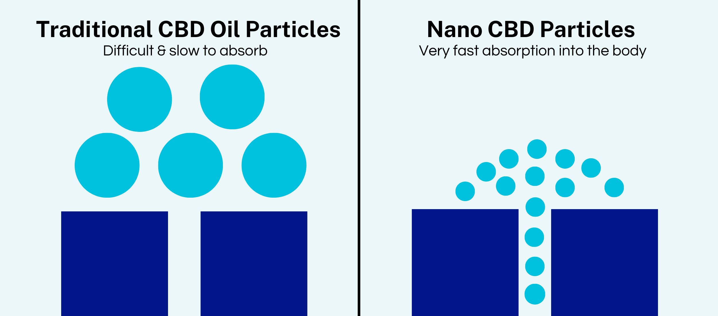 Nano-Emulsified CBD vs. Traditional CBD Oil Absorption Rate Comparison